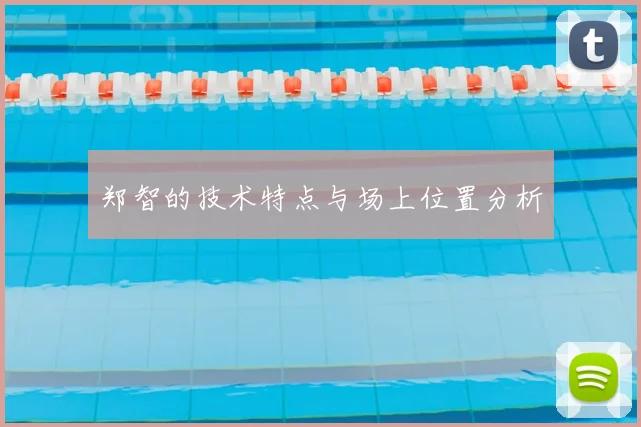 郑智的技术特点与场上位置分析