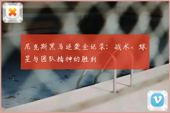 尼克斯黑马逆袭全记录：战术、球星与团队精神的胜利
